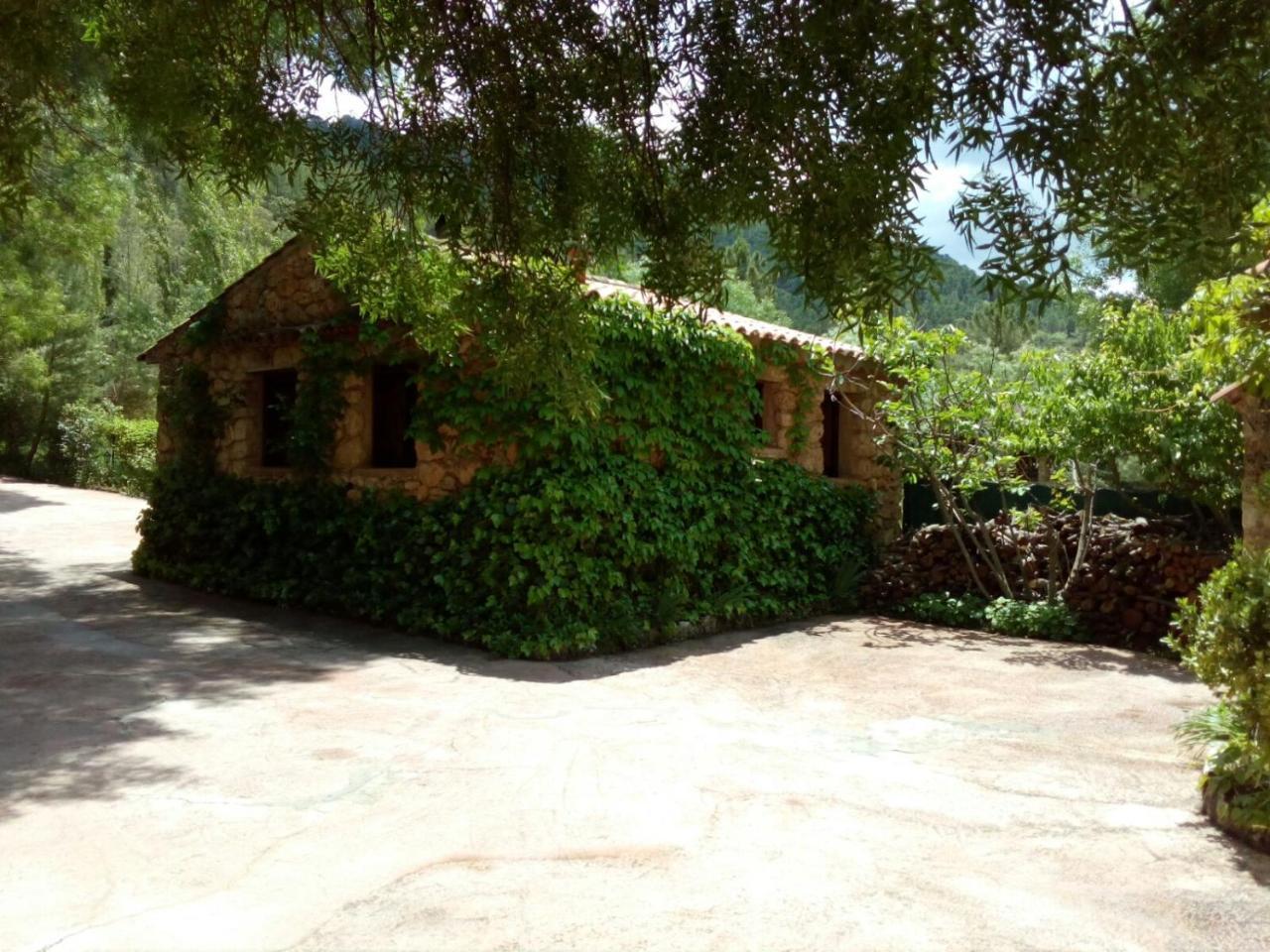 Гостьовий будинок Casas Rurales Picos Del Oso Ріопар Екстер'єр фото